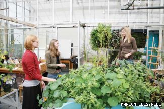 Heather Wray (right) discusses research with interns Erin Watson and Gillian Jackson in the Hall Building greenhouse.